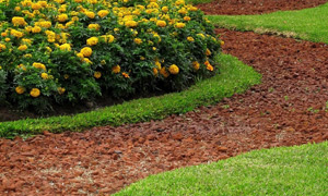 Garden Design & Makeover